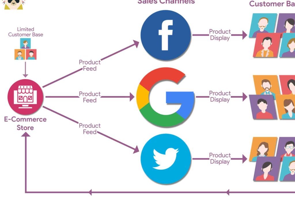 Complete Guide to Feed — What You Need to Know