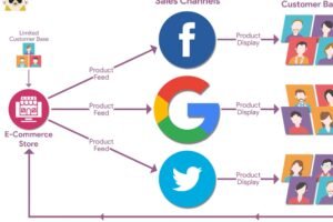 Complete Guide to Feed — What You Need to Know