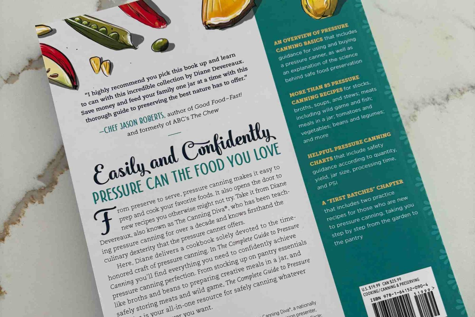 Complete Guide to Feed — What You Need to