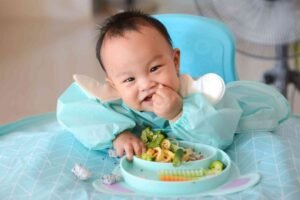 Feed — Practical Tips for Beginners