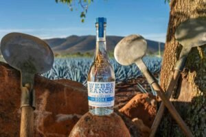 How to Weber Ranch Vodka 1 0 Liter Price — Tips & Checklist