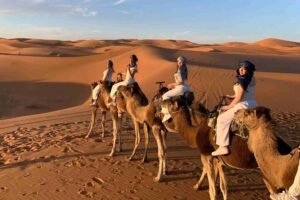Best Desert Destinations to Explore in 2025