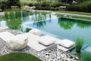 Complete Guide to The Benefits Of Water Gardens A Guide By Piscine Naturelle Biologique