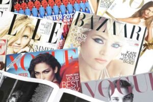 Feed: Explained for Beginners (2025)