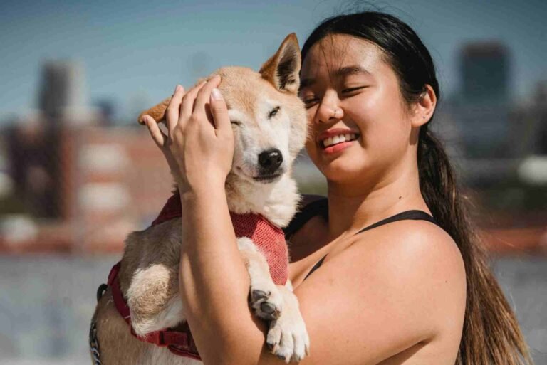 How to Travel With Pets Hassle-Free