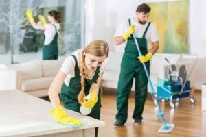 How to The Critical Importance Of Home Cleaning Services For A Comfortable And Efficient Environment — Tips & Checklist